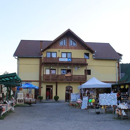 Pensiunea Floare De Colt Borsec Zewnętrze zdjęcie