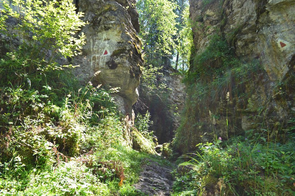 Pensiunea Floare De Colt Borsec Zewnętrze zdjęcie